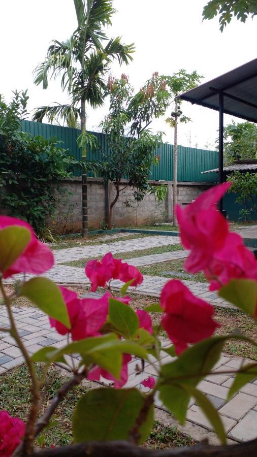 Thomasha Homestay Wellawaya Exteriör bild